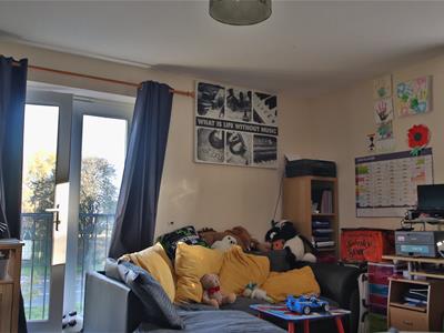 Picture 3